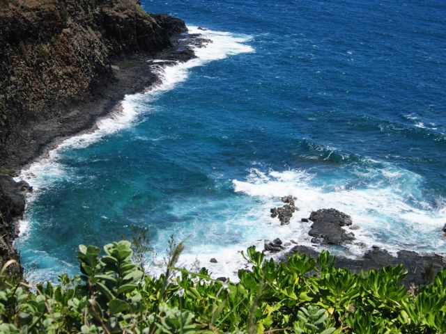 IMG 0430 copy